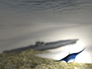 somewere in medeteran sea
