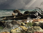 Rough Seas