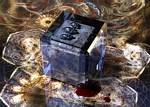 WishGranter