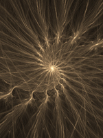 Gossamer Spiral