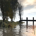 Reflections on Water