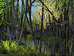 Creek Evening