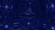 Liquid Blue