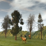Evening Visitors