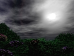 Stormy Day