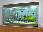 Aquarium
