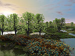 Backlit Trees