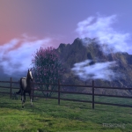 Mountain Horse