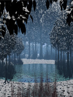 Winter Forest