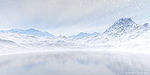Particle Snow