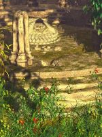 The Reclamation of Nature