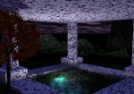 Tub in forest