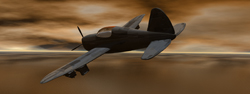 Flying