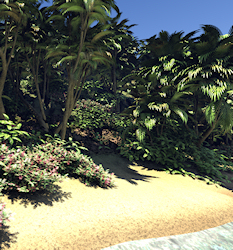 Island Shore