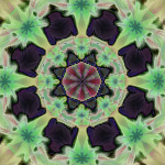 -shopped aBstract-