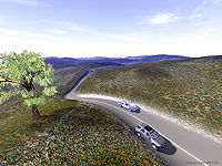 Country Lane