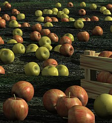 Harvest