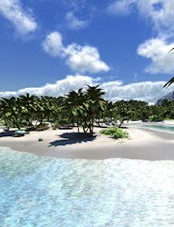 Meet Me on the Beach