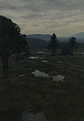 Rainy Day In June
