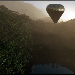Jungle