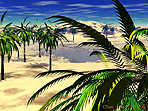 Oasis