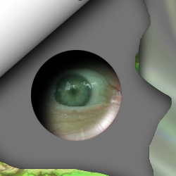 Eye of the Beholder