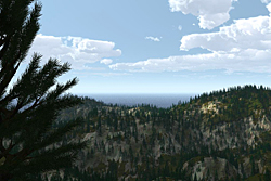 Landscape with fake spruces