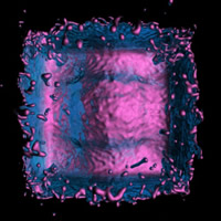 Pink Blue Splat