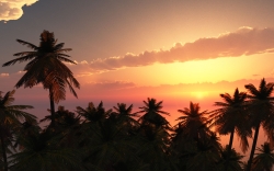 Island Sunset, Vue 10 Esprit