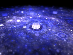 Pond of Night Lotus