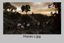 Horses