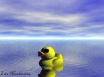 Rubber Ducky