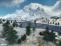 Winter Solace