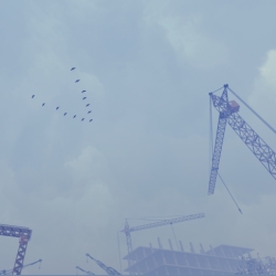 Autumn Mood. Cranes.