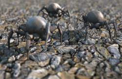 DOF effect in Bryce 7.1 Pro