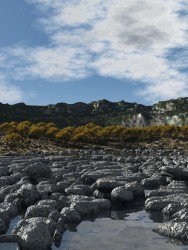 Coastal stones