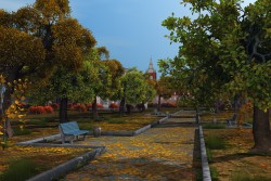 In the autumn park