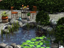 My little patio