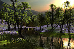 Creek at Sunset