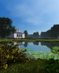 Pond in old park