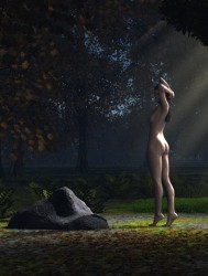 Bathing in sunbeams