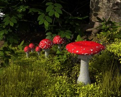 Fly agaric mushroom