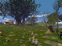 Hobbit House