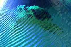 Thing in the Ice