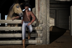 Cowboy and his horse
