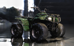 Quad Bike.