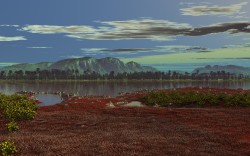Grassy coast 1