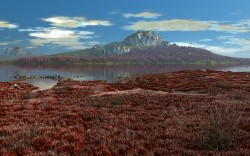 Grassy coast 2