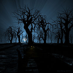 Moon Rising