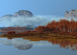 Foggy morning